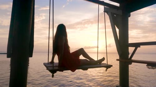 Back view portrait of a girl silhouette swinging at sunset on the beach