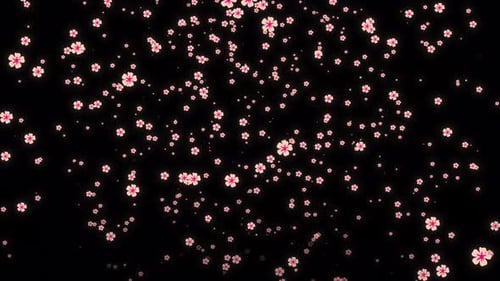 Seamless looping animation of falling flowers on transparent background.