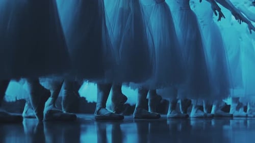 Die Ballerina steht in einer Reihe und verändert die Position ihrer Beine. Dann laufen sie aus dem Rahmen.