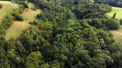Aerial view of a hill with a forest