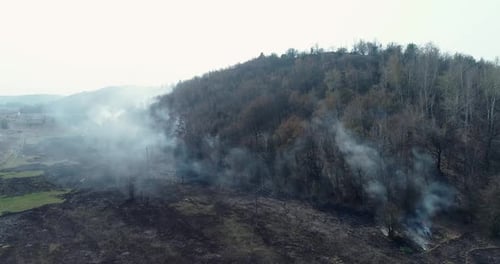 Um incêndio na floresta perto de um campo agrícola