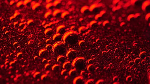 Science or Art Abstract Macro Background with Red Bubbles