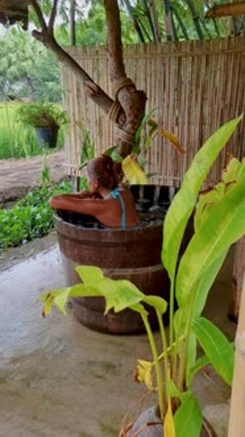 Campos de arroz verde na região central de Suphanburi da Tailândia