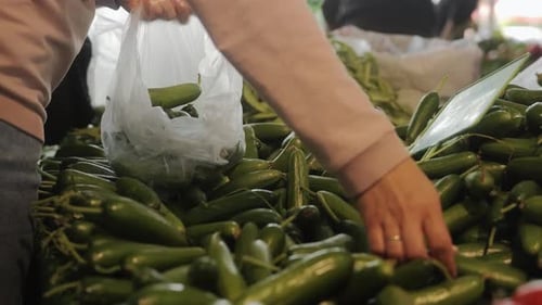 A Girl is Shopping at a Farmer's Market Her Hands Putting Cucumbers in a Bag