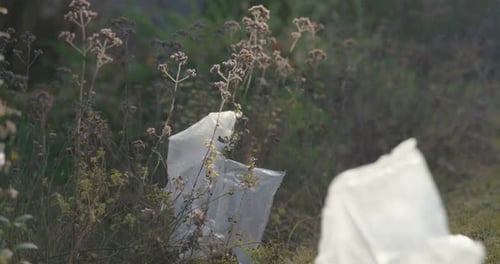 Las bolsas de aire para paquetes de pedidos en línea vuelan por la pradera y contaminan la naturaleza. Residuos de envases c