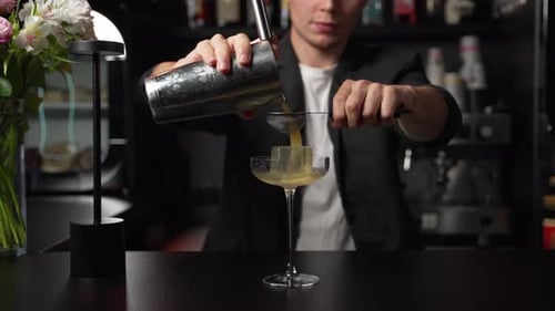 The Bartender Makes a Cocktail at the Bar
