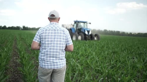 Tractor on the field of green corn fertilizing the crop