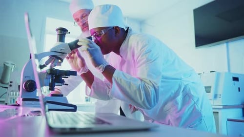 Cientistas analisando amostras em laboratório usando microscópio e laptop