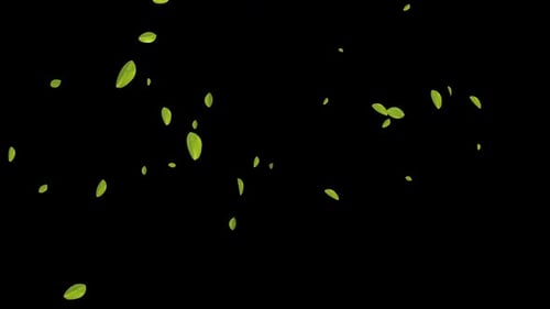 Hojas verdes flotantes sobre fondo negro
