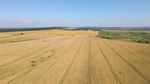 Aerial Landscape View of Yellow Cultivated Agricultural Field with Ripe Wheat on Bright Summer Day