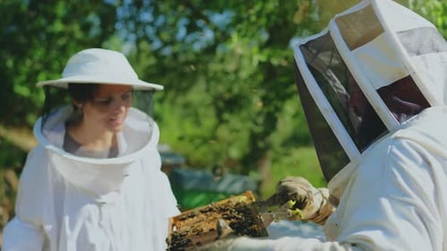 Beekeeper Showing a Honeycomb to His Assistant