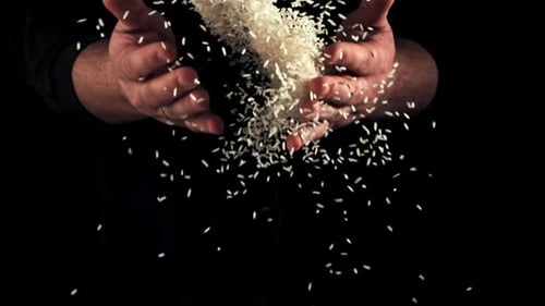 Hands Pouring Rice onto Black Background