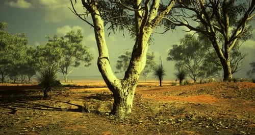 Expansive Outback Landscape Under a Vivid Sky at Golden Hour in Australia