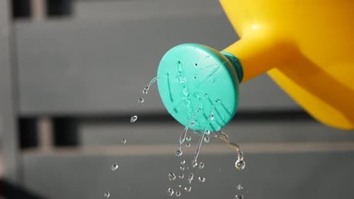 Wasser aus der Gießkanne gießen, Zeitlupe