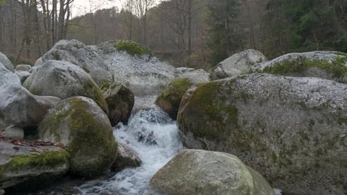 Autumn river in mountain forest trees
