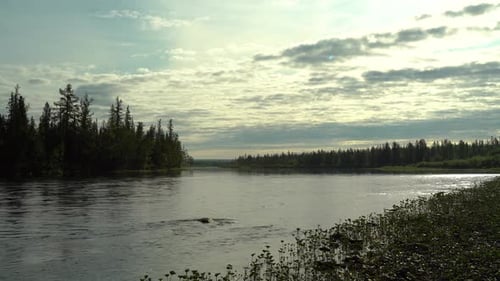 Forest River Against the Background of Forest and Clouds