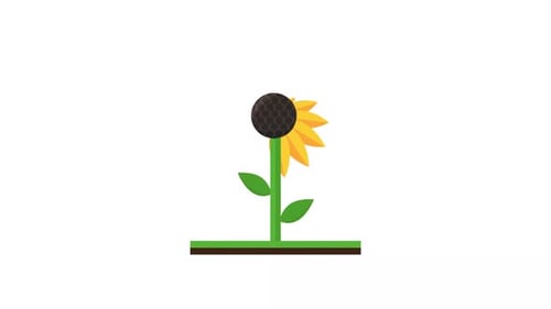 Silueta de girasol