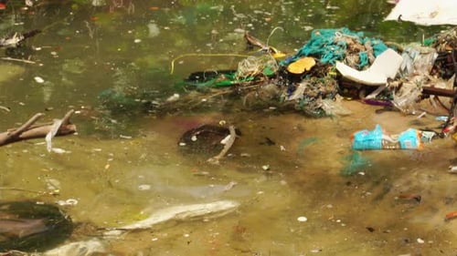 Nahaufnahme eines mit Müll und Mikroplastik verschmutzten Dirty Stream Pond