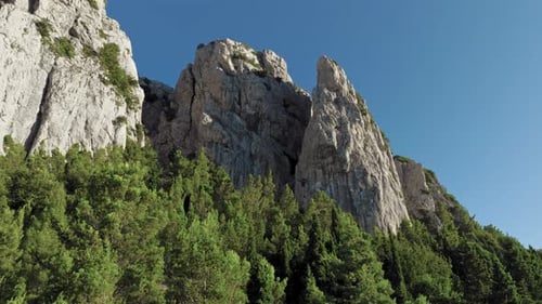 Rocky Mountain with Green Fir Forest
