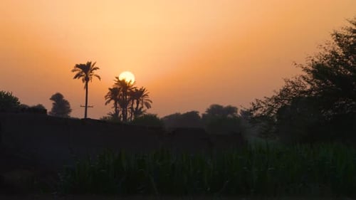 Pôr do sol sobre palmeiras em Sher Shah, Multan