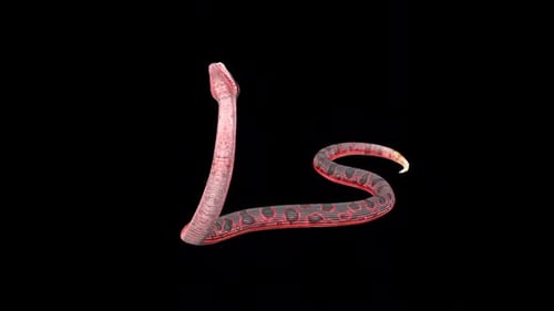 Anaconda Die Idle