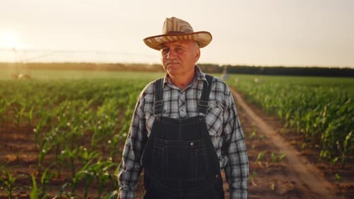 Farmer Standing in Peaceful Farm Field at Sunset