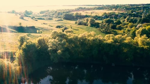Pond Among Fields and Forest