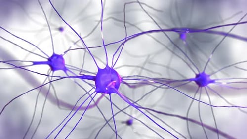 Alive Artificial Intelligence Int the Scientific Footage Inside Human Brain