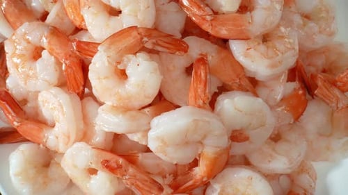 Pile of Cooked and Shelled Shrimp Close Up