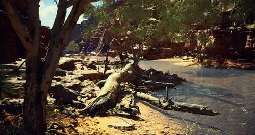 Animated 3D Desert Canyon Landscape with River and Trees