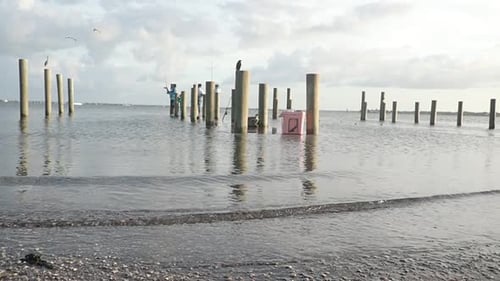 Fishing on a Flooded Dock, Florida