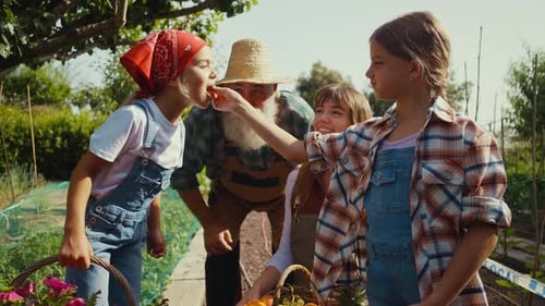 Happy family in a vegetable garden