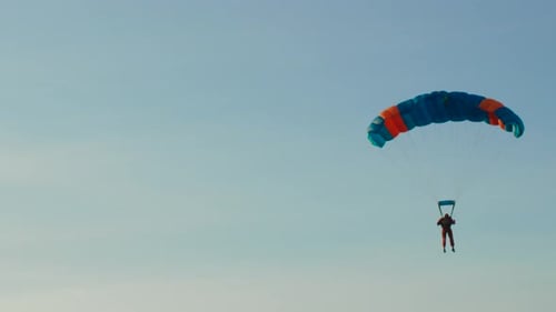 Shot of Landing Skydivers in Sunset Light