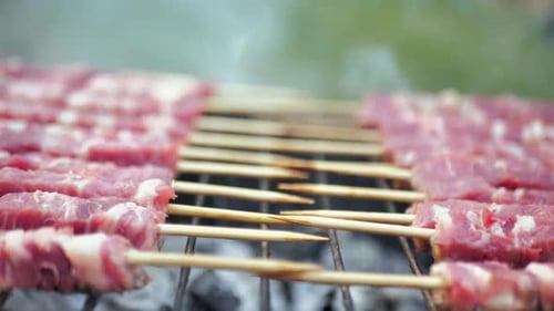 Raw Meat Skewers Cooking on a Charcoal Grill