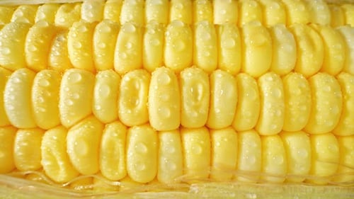 Macro video captures the enchanting beauty of sweetcorn