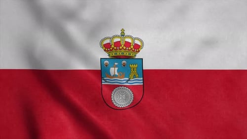 Realistic Waving Flag with Coat of Arms Loop