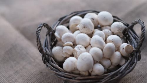 Los champiñones blancos con tapas texturizadas giran de cerca, Vídeo, vista superior, Vídeo a cámara lenta, stock