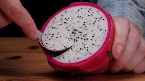 Pink Dragon Fruit Exotic Pitaya or Pitahaya is a Fruit of Several Different Cactus Species Dragon