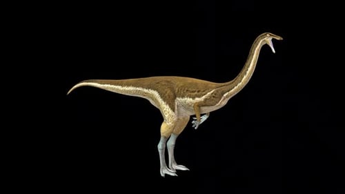 Chat dinosaure Gallimimus