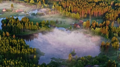 Aerial view of misty forest lake and homesteads at sunrise in rural Latvia
