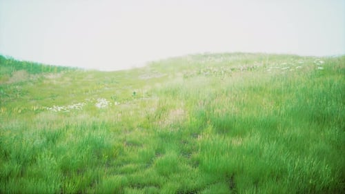 Landscape View of Green Grass on Slope at Sunrise