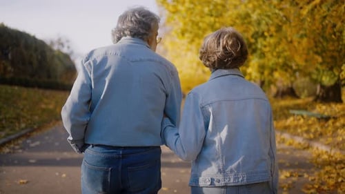 Back View of Aged Spouses Walking By Hands in Autumn Park
