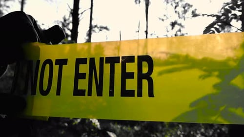 Investigator unraveling a Crime scene tape in front of a forest woodland area, sun backlighting it.