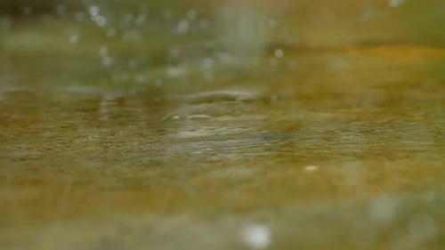 Water Drop Falling