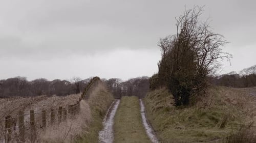 Rural country lane dirt track over farmland hill on winter day, still shot