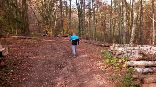 Young Man Walking Through a Forest in Autumn Scenery. Hiking in the Woods. Enjoying a Walk in a Fore