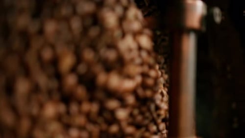 Roasting Coffee Beans in Industrial Machine