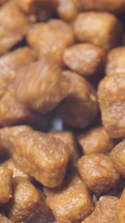 Dry Dog Food Slowly Falls Into the Plate Tasty Food for Animals Vertical Video
