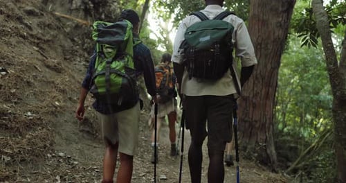 Mountain, hiking and group of friends in forest for activity, back and backpacking on vacation