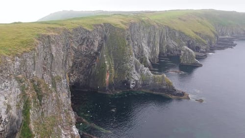 Dramatic Aerial View of a Flock of Birds at Rugged Sea Cliffs in County Cork, Ireland